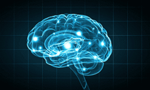 A blue image of a human brain