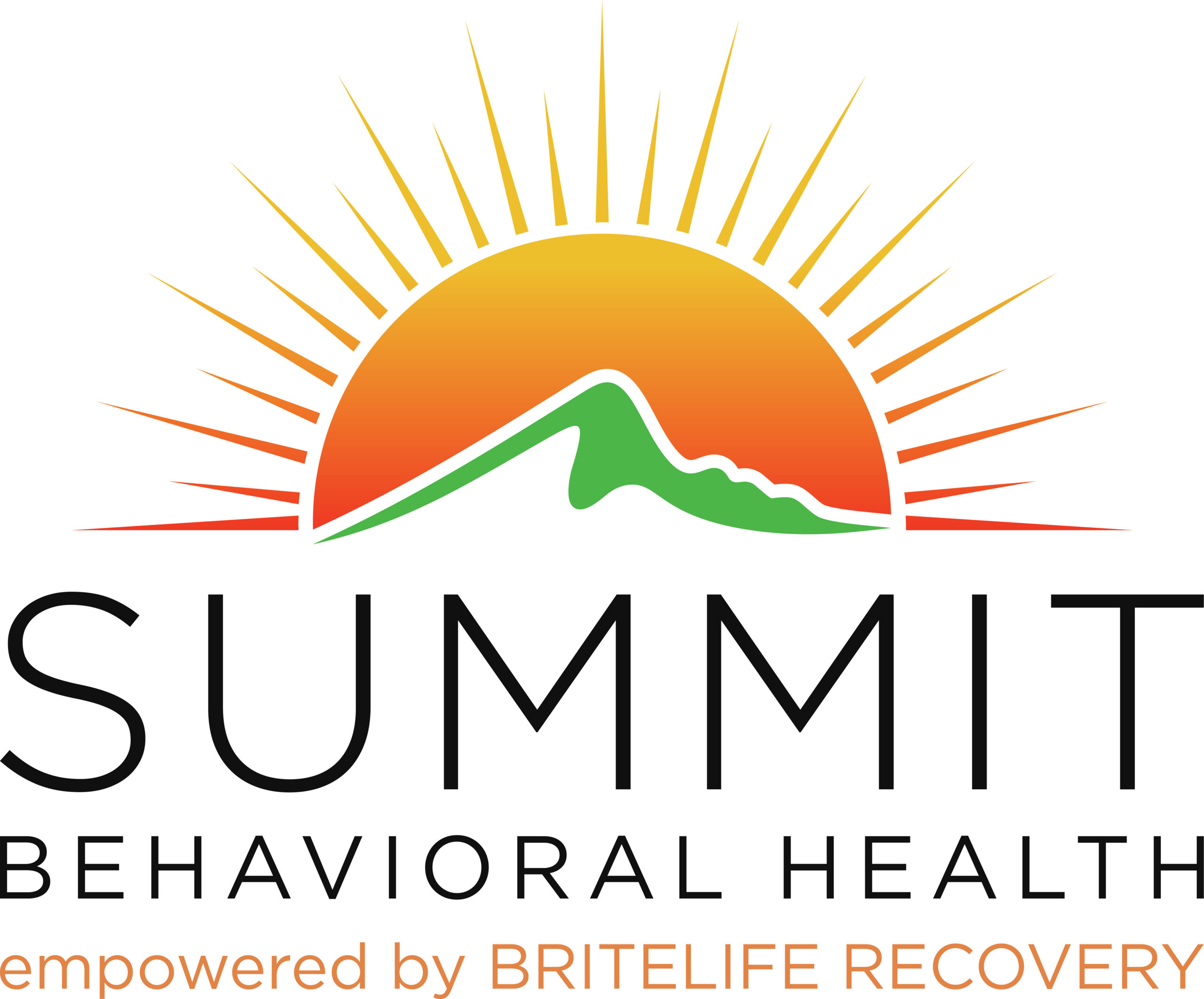 Summit Logo sqaure